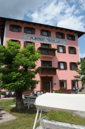 Гостиница Albergo Vecellio  Ауронцо Ди Кадоре